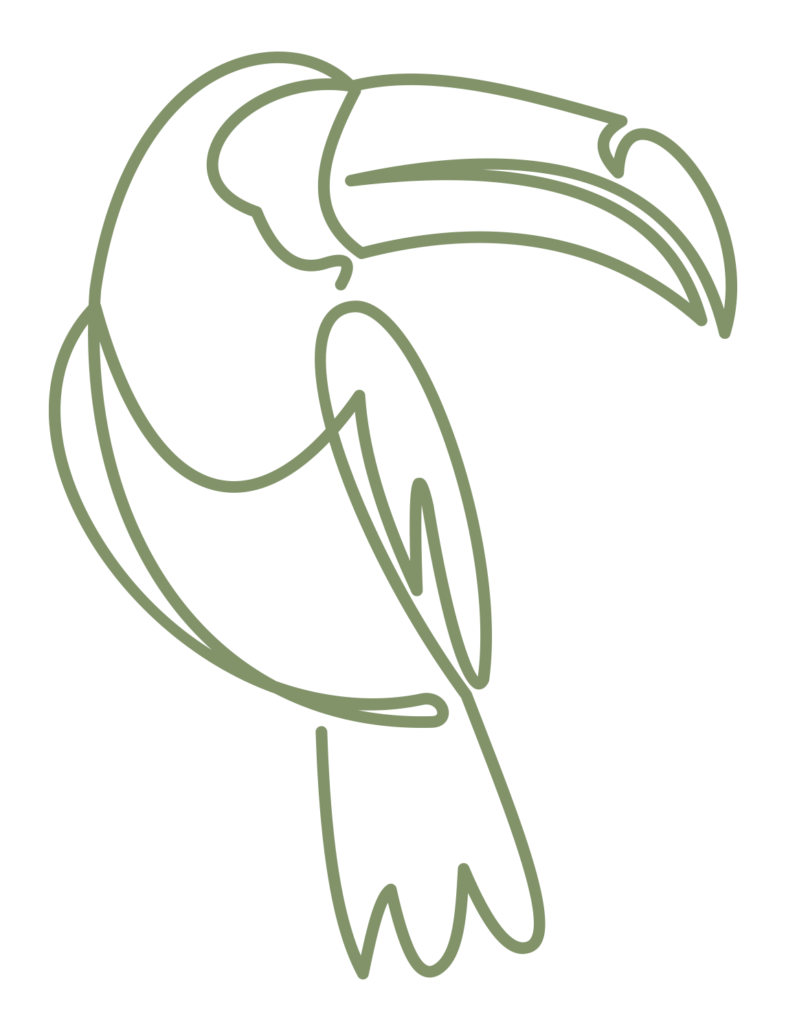 Testimonials from Ape Forge Clients