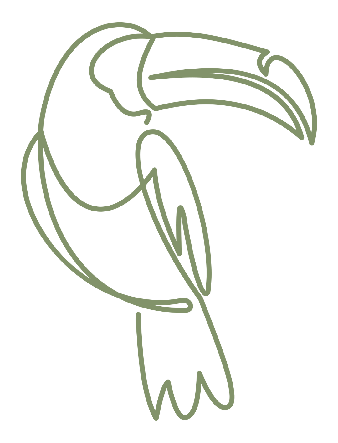 Testimonials from Ape Forge Clients