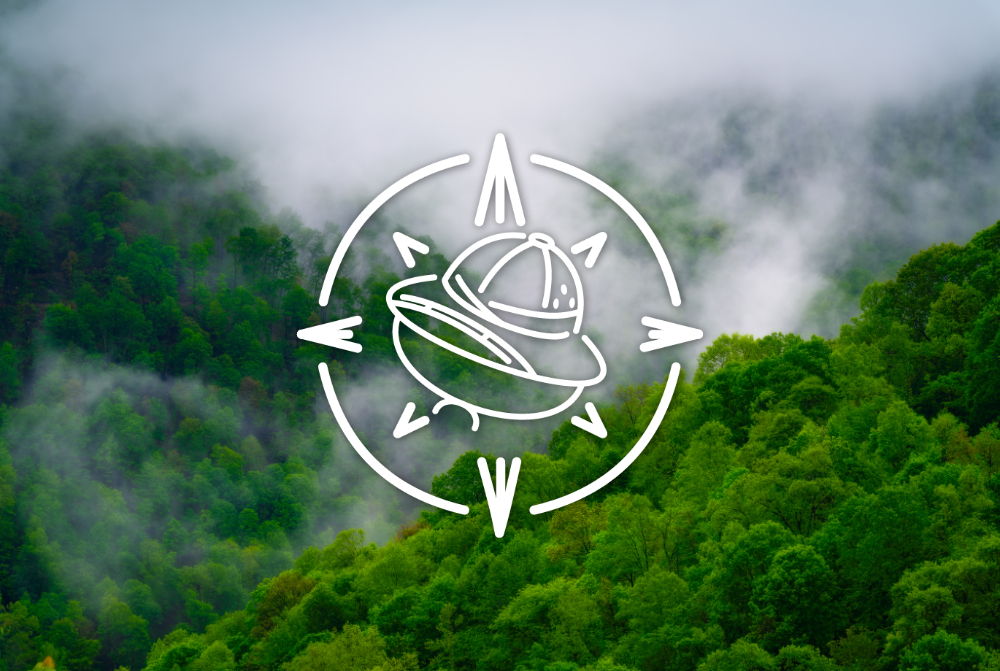 Expeditions are the best solutions to get a project started and completed within one day