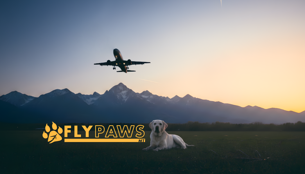 Fly Paws MT