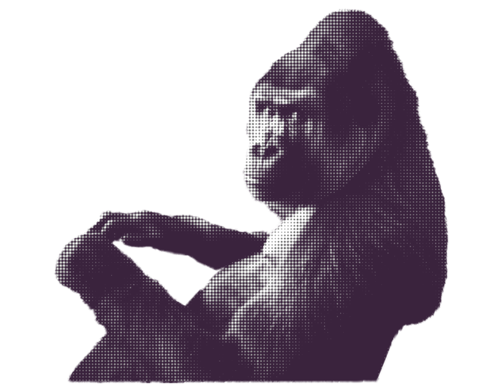 Gorilla  checking if you're liking what you're seeing