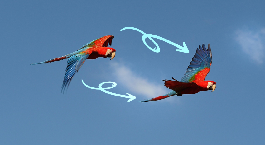 Website Migration